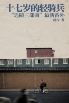 推荐《十七岁的轻骑兵 III》路内